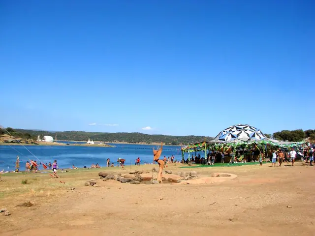 Boom Festival 2008