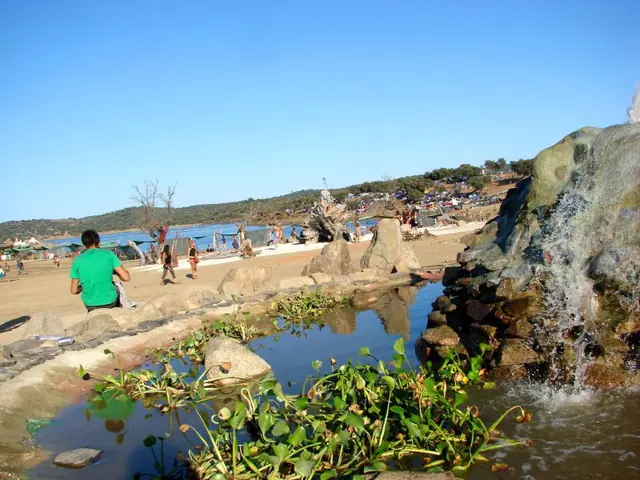 Boom Festival 2008