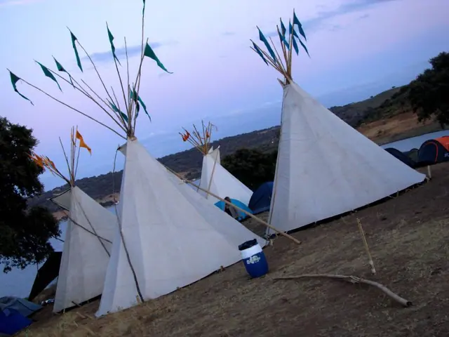 Boom Festival 2008