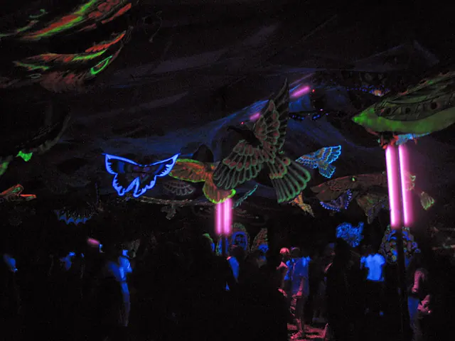 Outdoor Party, Grenchenberg, Schweiz